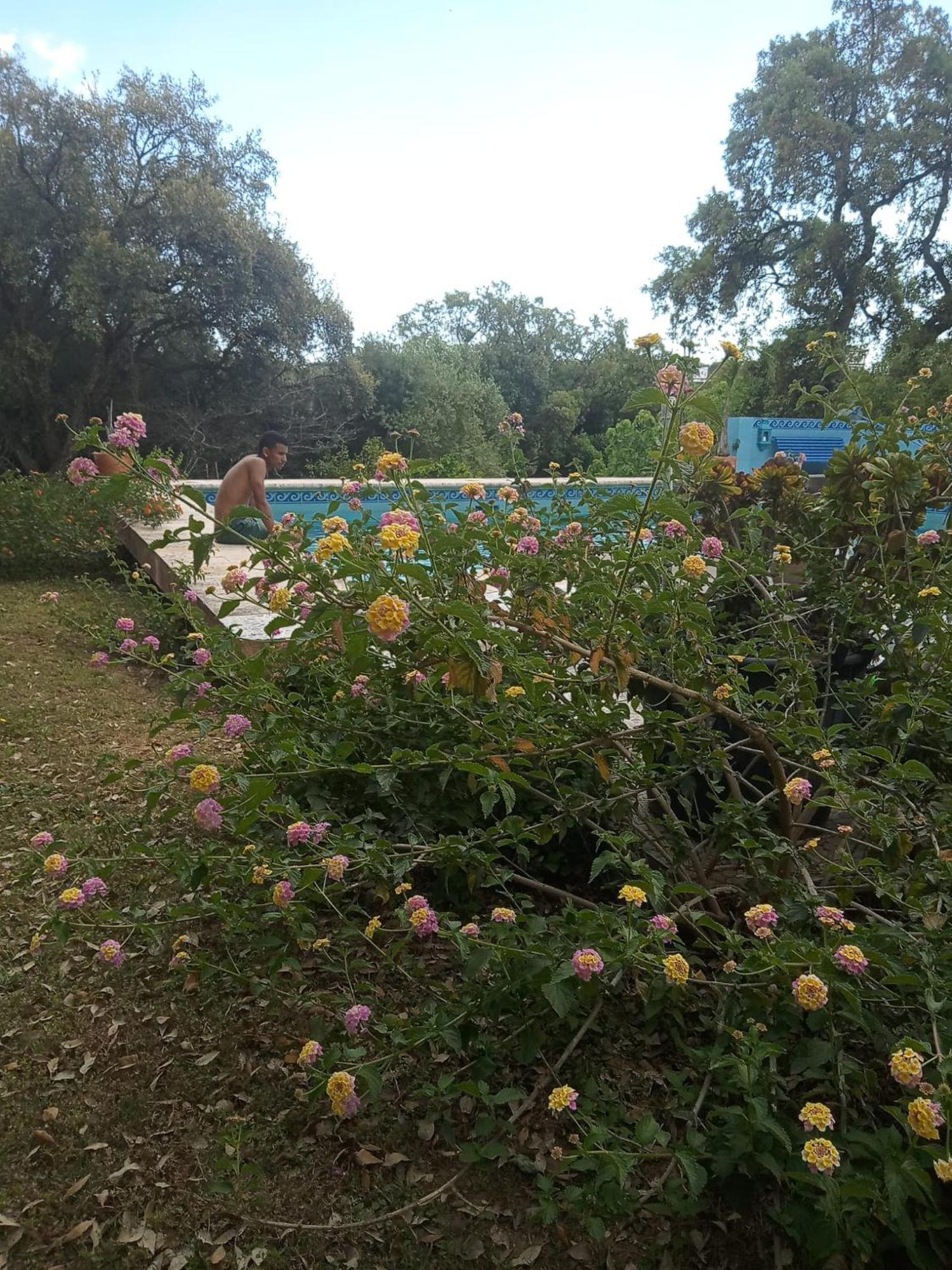 Sotogrande. Estancia Privada En Plena Naturaleza Екстериор снимка